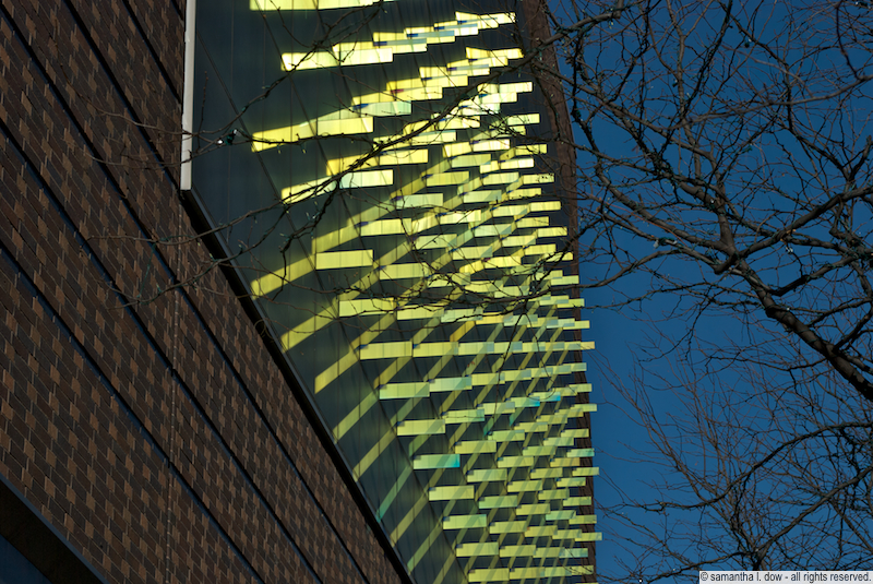 DSC_0897