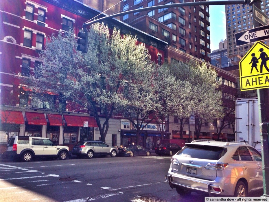 20130414-112556.jpg
