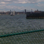 more tall ships